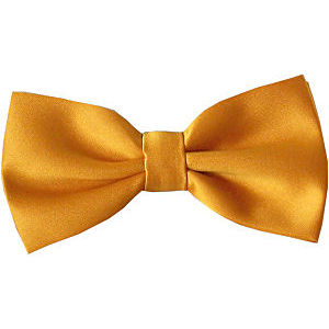 bowtie_807321786.jpg